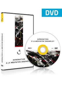 Dvd Introduction à la méditation originelle, Idris Lahore
