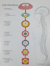 Poster plastifié Chakras fond blanc (A2)