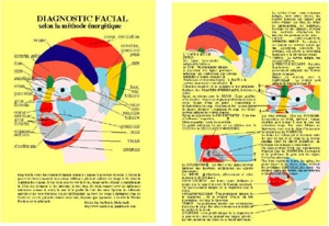 Planche plastifiée Diagnostic facial (B5)