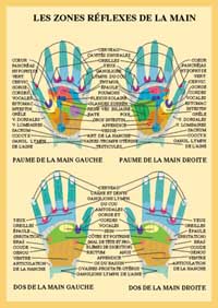 Planche plastifiée les Zones réflexes de la main (A4)