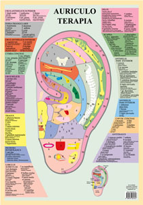 Poster plastifié Auriculo terapia (A2)