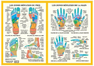 Poster plastifié Les Zones réflexes de la main et du pied (A2)