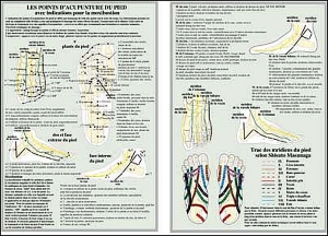 Planche plastifiée les Points d'acupuncture du pied (A4)