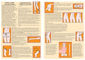 Planche plastifiée Forme sexuelle pour les hommes (A4)