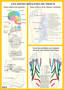 Poster plastifié Les Zones réflexes du pied II (A2)