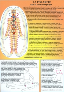 Planche plastifiée La Polarité dans le corps énergétique (A4)